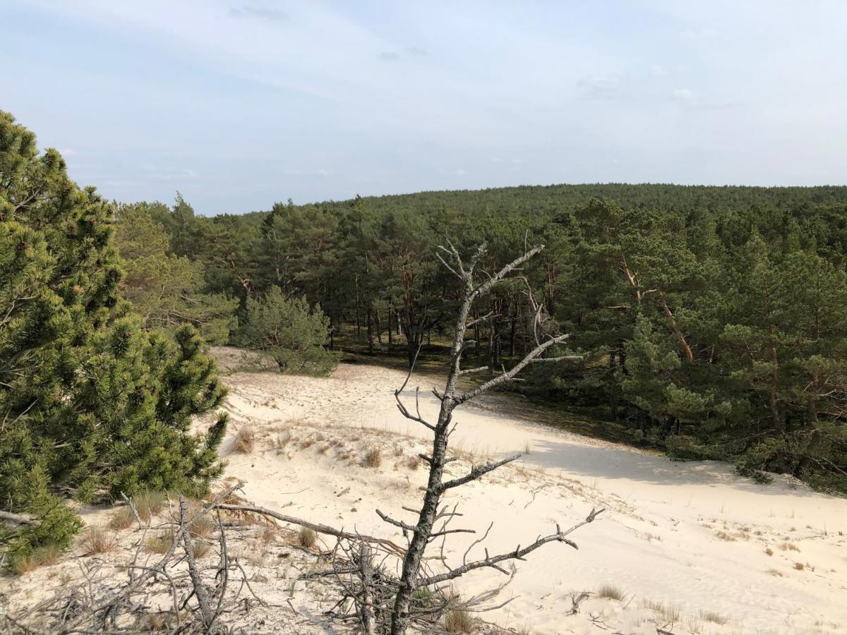 Hilltom By The Sea Apartman Rowy  Kültér fotó